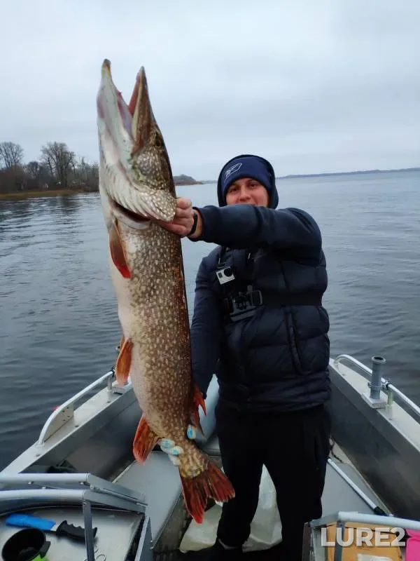 Pike — Grannoye, Oct 19, 2019