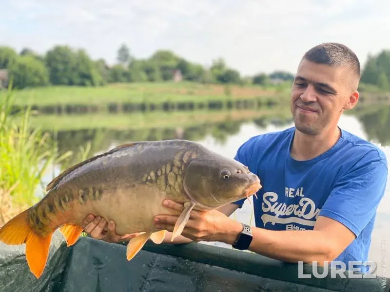 Carp — Zhitomirska oblast, Jul 10, 2021, 7:28 AM