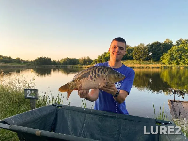Carp — Zhitomirska oblast, Jul 09, 2021, 8:37 PM