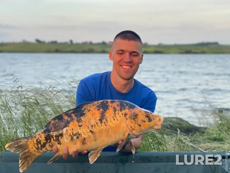 Carp — Lvіvska oblast, Jun 20, 2021, 9:05 PM