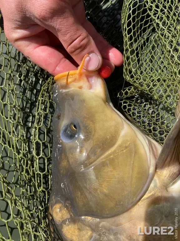 Bream — Volkhov, Jul 18, 2023