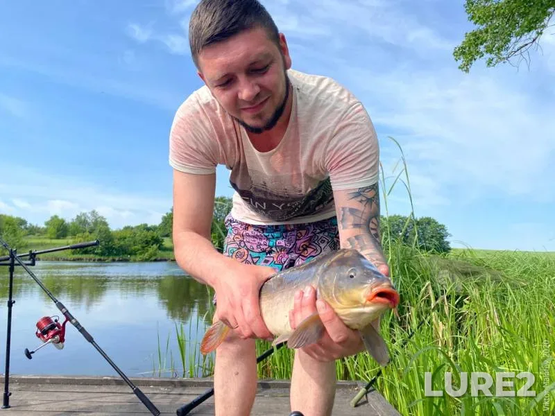 Carp — Zhitomirska oblast, Jun 09, 2020, 9:25 AM