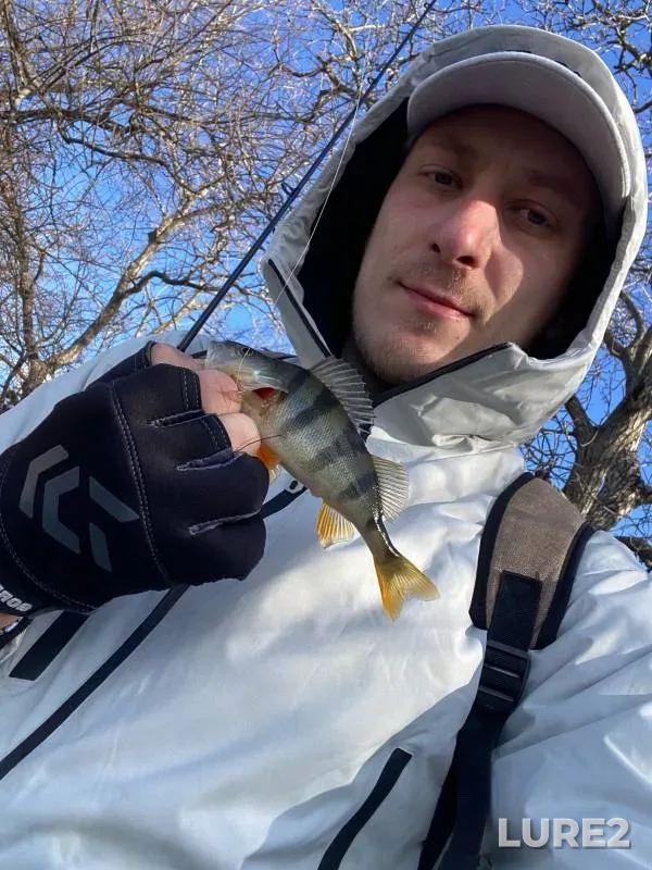 Perch — Stavropolskiy kray, Jan 03, 2024