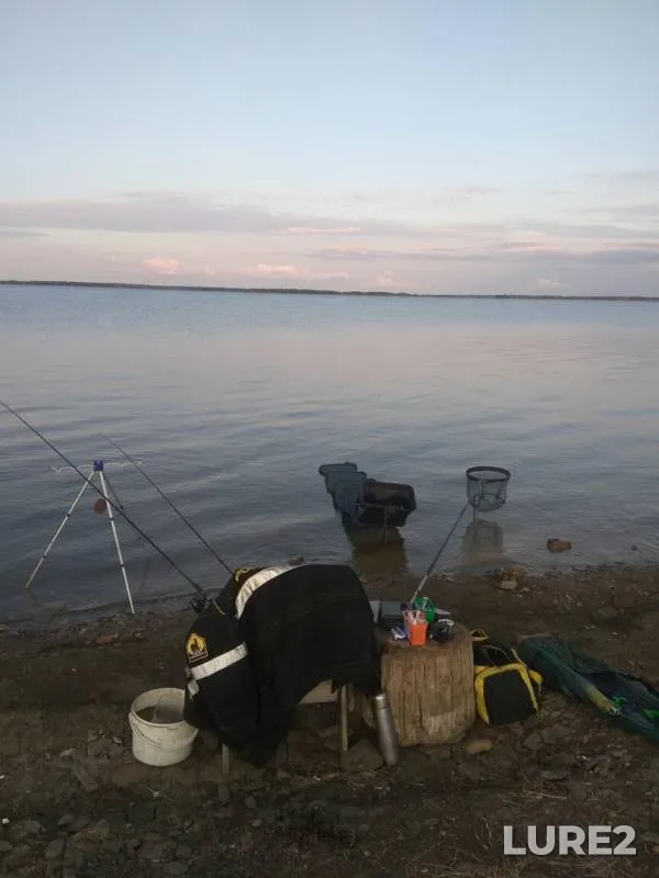 Bream — Samarskaya oblast, Sep 16, 2019