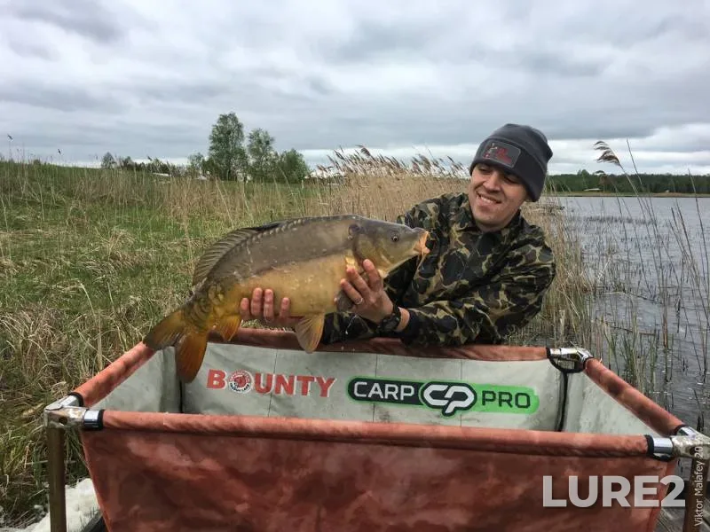 Carp — Volinska oblast, Apr 30, 2019, 3:22 PM