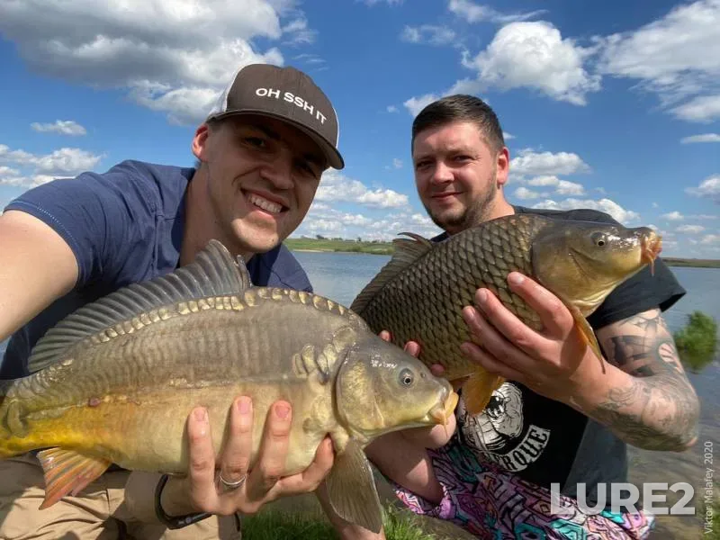 Carp — Lvіvska oblast, May 02, 2020