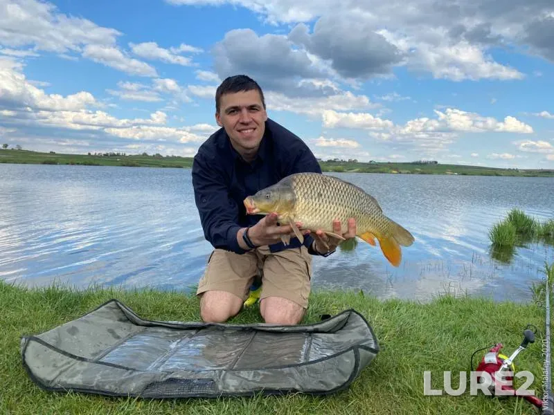 Carp — Lvіvska oblast, May 02, 2020