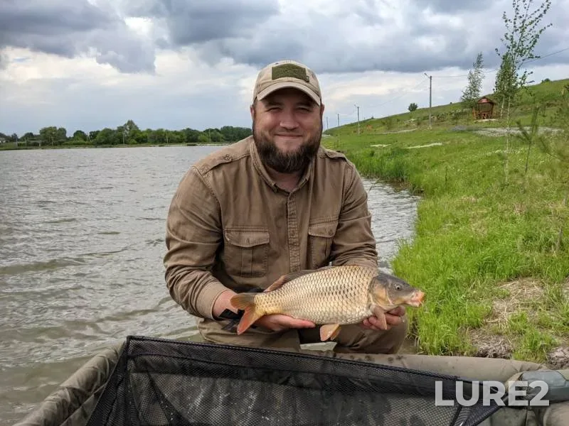 Carp — Rіvnenska oblast, May 29, 2021, 4:05 PM