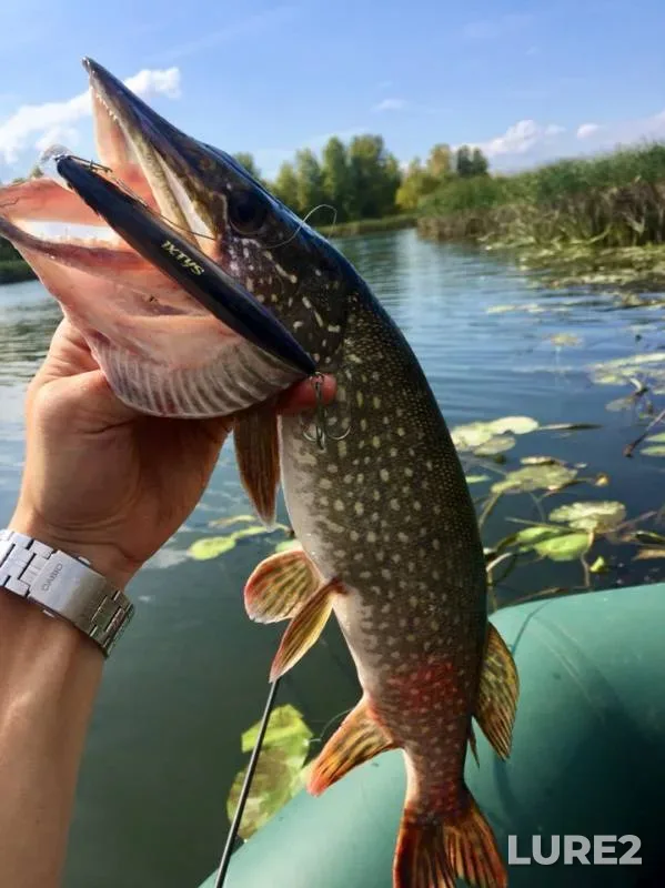 Pike — Samara, Sep 08, 2019