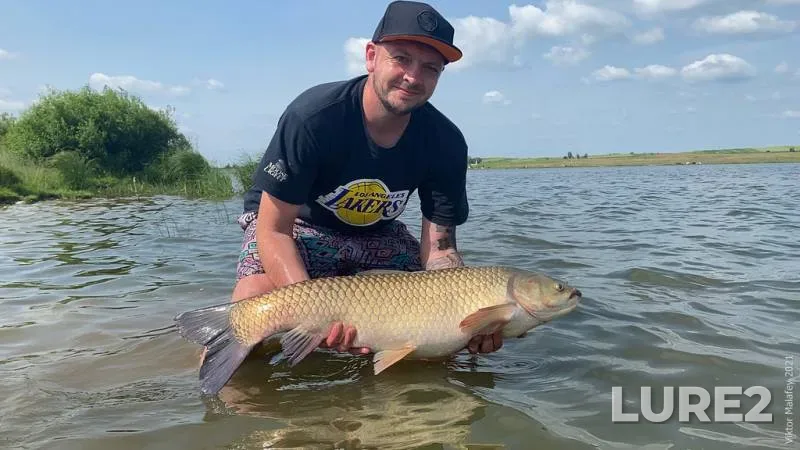 Grass carp — Lvіvska oblast, Jun 20, 2021, 4:14 PM