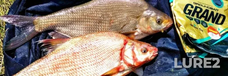 Pike — Malyye Soi, Mar 30, 2024