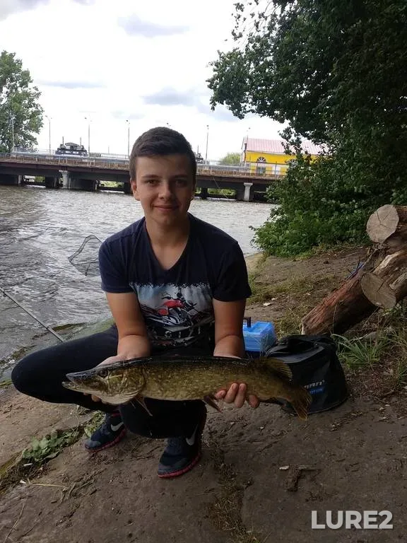 Roach, White bream — Lesnaya Pravaya, Apr 08, 2024