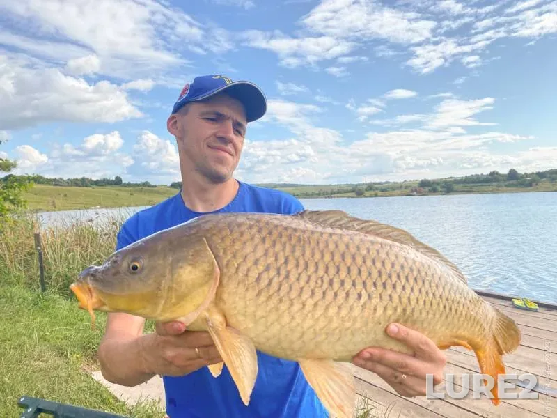 Carp — Rіvnenska oblast, Jun 25, 2023, 5:17 PM