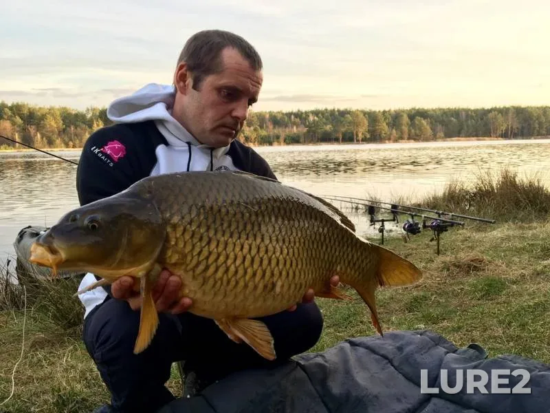 Carp — Zhitomirska oblast, Mar 29, 2019, 5:56 PM