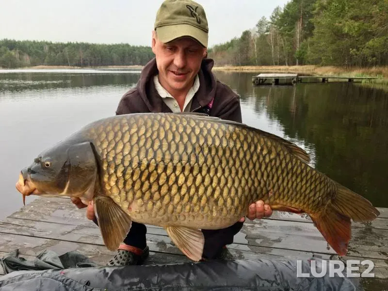 Perch, Roach — Chelyabinskaya oblast, Troitskiy rayon, Jul 13, 2023
