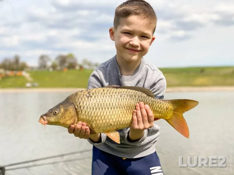 Carp — Rіvnenska oblast, May 05, 2021, 2:17 PM
