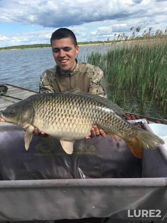 Tench — Mukhavets, May 01, 2024