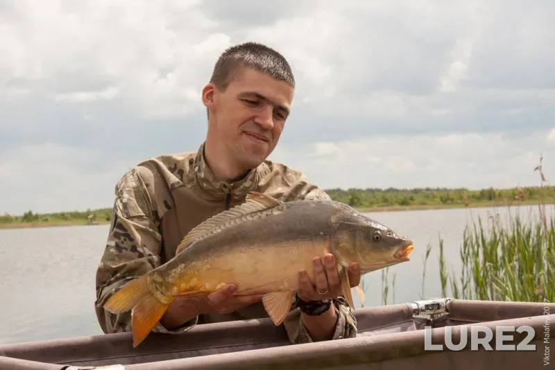 Carp — Volinska oblast, May 29, 2017, 7:12 AM