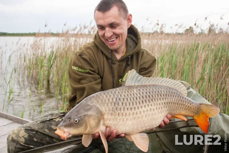 Carp — Volinska oblast, May 29, 2017, 7:12 AM