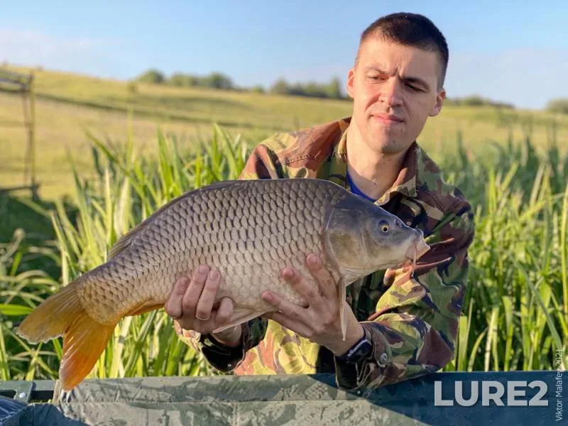 Roach — Mukhavets, May 12, 2021