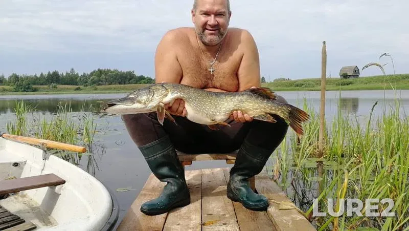 Pike — Zaletskoye, Feb 18, 2019
