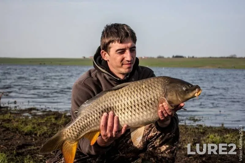 Bream, White bream — Matsovka, Jun 21, 2020