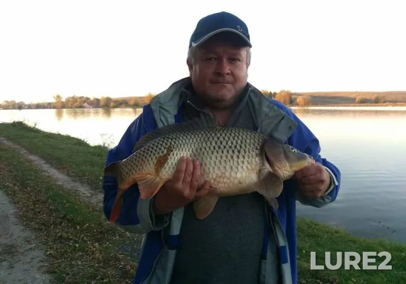 Carp — Rіvnenska oblast, Oct 14, 2018, 6:01 PM
