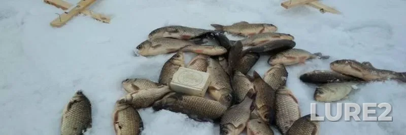 Bream, Roach — Soligorskoye, Jun 12, 2022