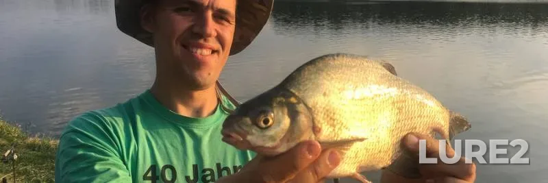 Bream — Ternopіlska oblast, Aug 31, 2019, 6:54 PM