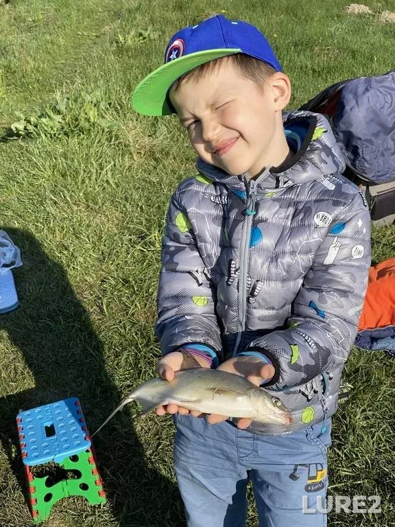 Bream — Rіvnenska oblast, May 10, 2020, 8:29 AM