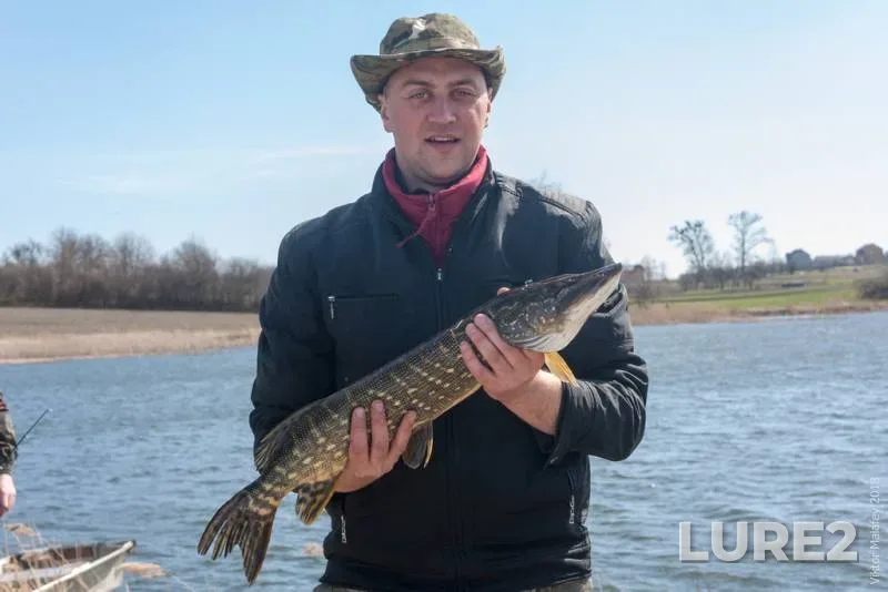 Bream — Svisloch, Mar 22, 2024