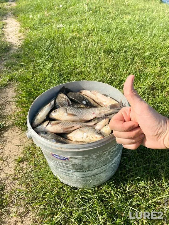 Bream, Roach — Viliya, Apr 08, 2024