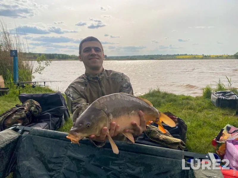 Carp — Ternopіlska oblast, May 10, 2024, 5:09 PM