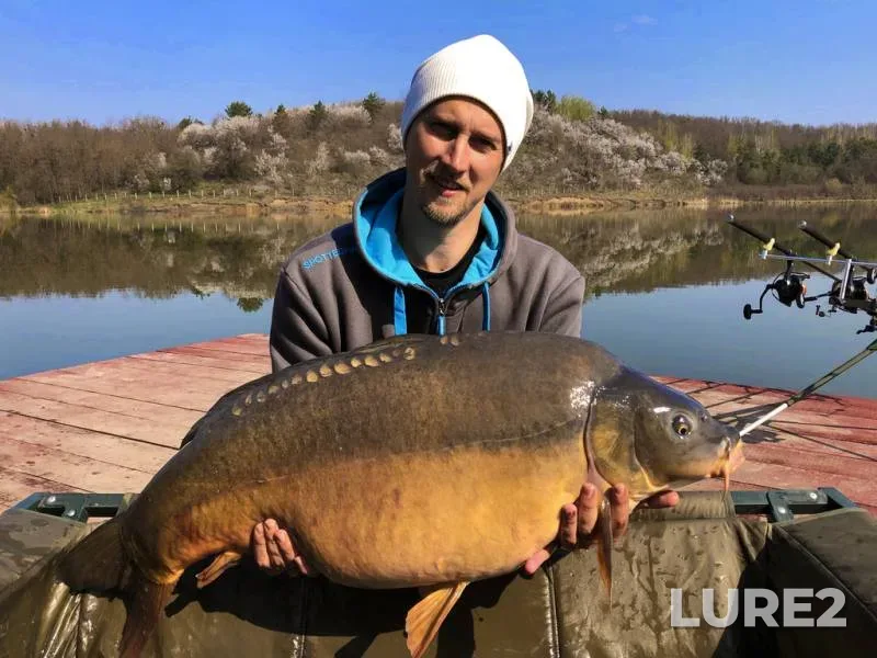 Perch — Chelyabinskaya oblast, Nov 26, 2023