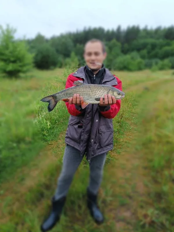 Голавль
