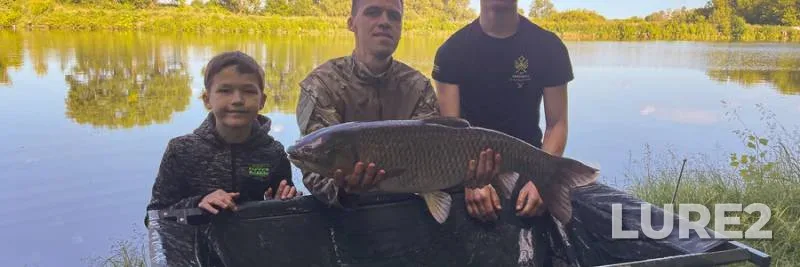 Grass carp — Zhitomirska oblast, Jun 04, 2023, 6:24 PM