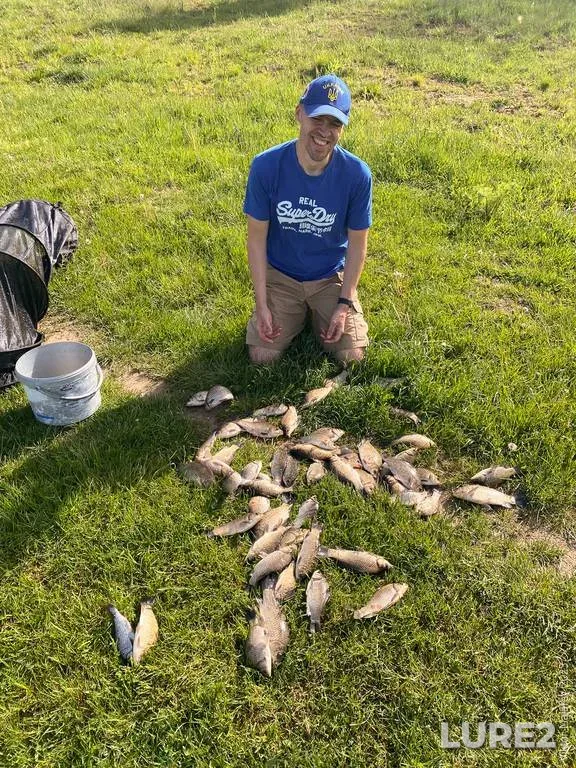 Crucian carp, Roach — Rіvnenska oblast, May 20, 2023