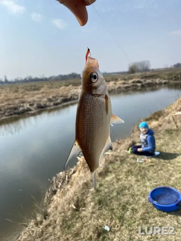 Perch — Vileyskoye, Jan 14, 2022
