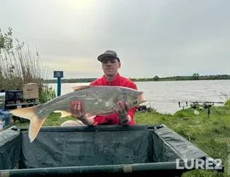 Silver carp — Ternopіlska oblast, May 11, 2024, 5:52 PM
