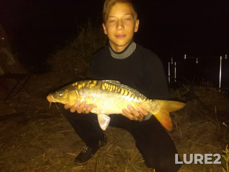 Carp — Malaya Korabelnaya, Aug 29, 2015, 11:30 PM
