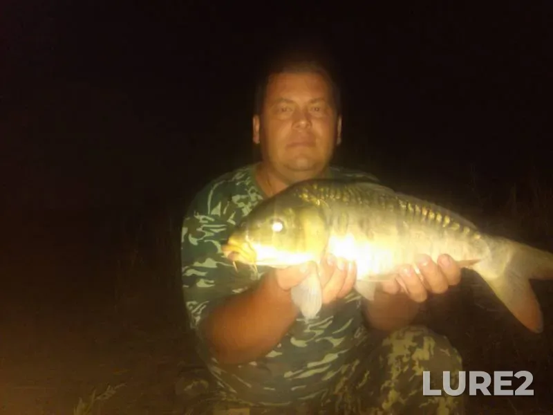 Carp — Malaya Korabelnaya, Aug 29, 2015, 11:23 PM