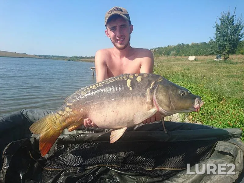 Bream, Carp — Svisloch, Apr 06, 2023