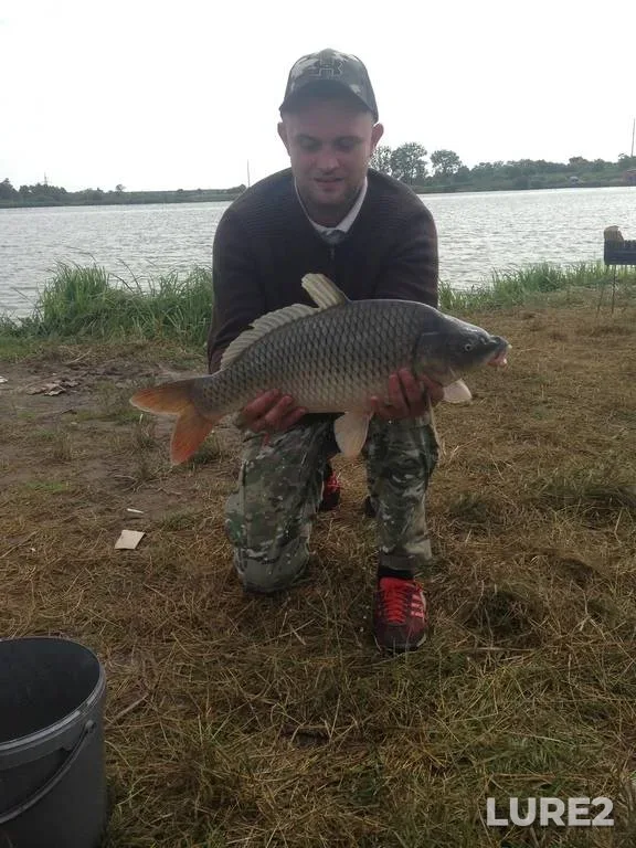 Carp — Rіvnenska oblast, Jun 28, 2017, 10:01 AM