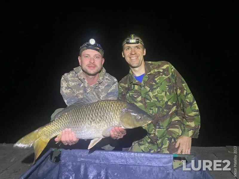 Carp — Zhitomirska oblast, Sep 23, 2023, 11:05 PM