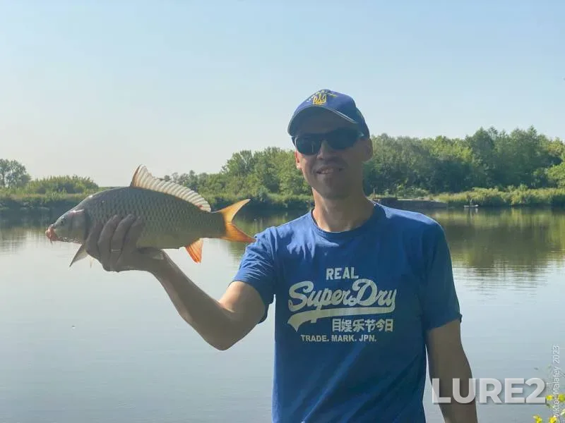 Carp — Zhitomirska oblast, Jun 05, 2023, 9:45 AM