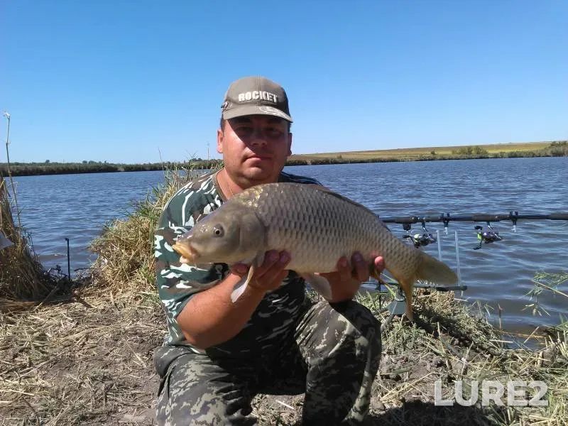 Carp — Sivish, Aug 22, 2022