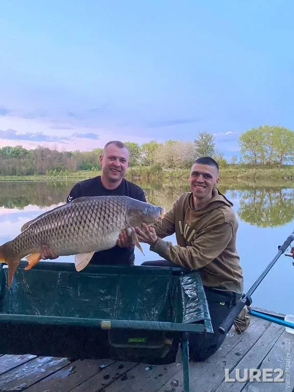 Carp, Crucian carp — Rybkhoz Brykino, May 20, 2023