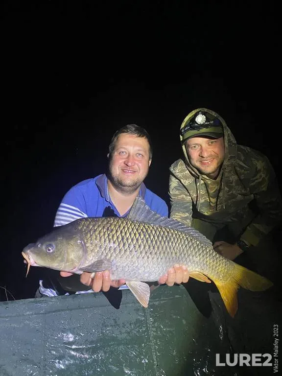 Carp — Zhitomirska oblast, Sep 23, 2023, 11:47 PM