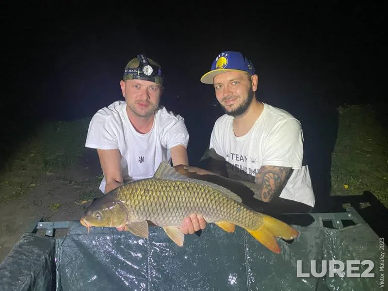 Carp — Zhitomirska oblast, Sep 23, 2023, 8:00 PM