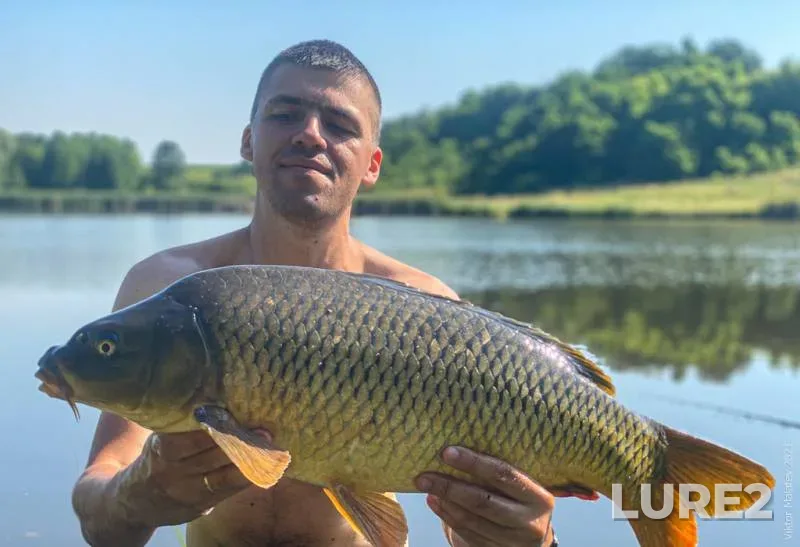 Carp — Zhitomirska oblast, Jul 10, 2021, 9:32 AM